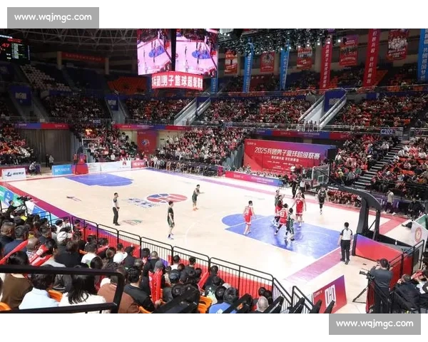 篮球热潮席卷全球 探索篮球文化的深度与未来发展趋势