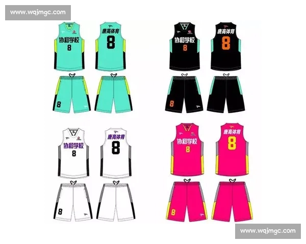 体育比赛数据分析流程与方法研究及应用实践探索