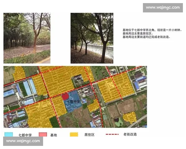 体育注册管理新模式探索与创新发展路径研究